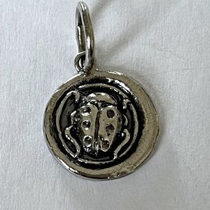 Waxing Poetic Ladybug Charm